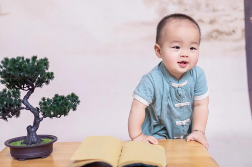 广安可爱的企鹅宝宝